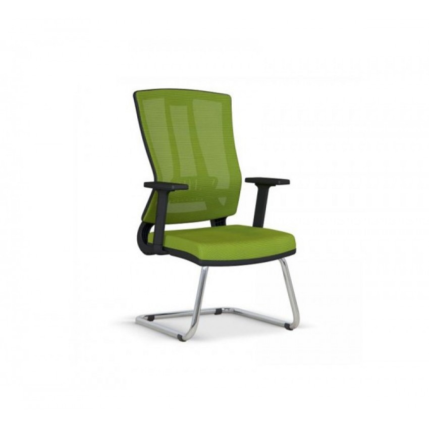 EDEN MİSAFİR KOLTUĞU